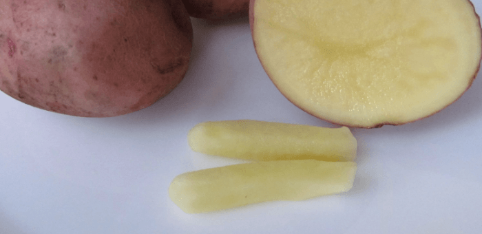 лечения геморроя народными методами - свечи из картофеля 